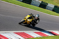 cadwell-no-limits-trackday;cadwell-park;cadwell-park-photographs;cadwell-trackday-photographs;enduro-digital-images;event-digital-images;eventdigitalimages;no-limits-trackdays;peter-wileman-photography;racing-digital-images;trackday-digital-images;trackday-photos